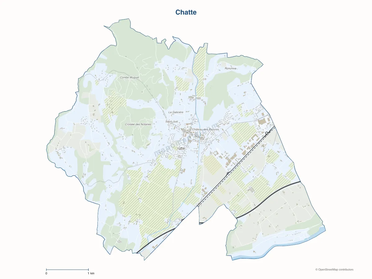 Carte de Chatte à personnaliser