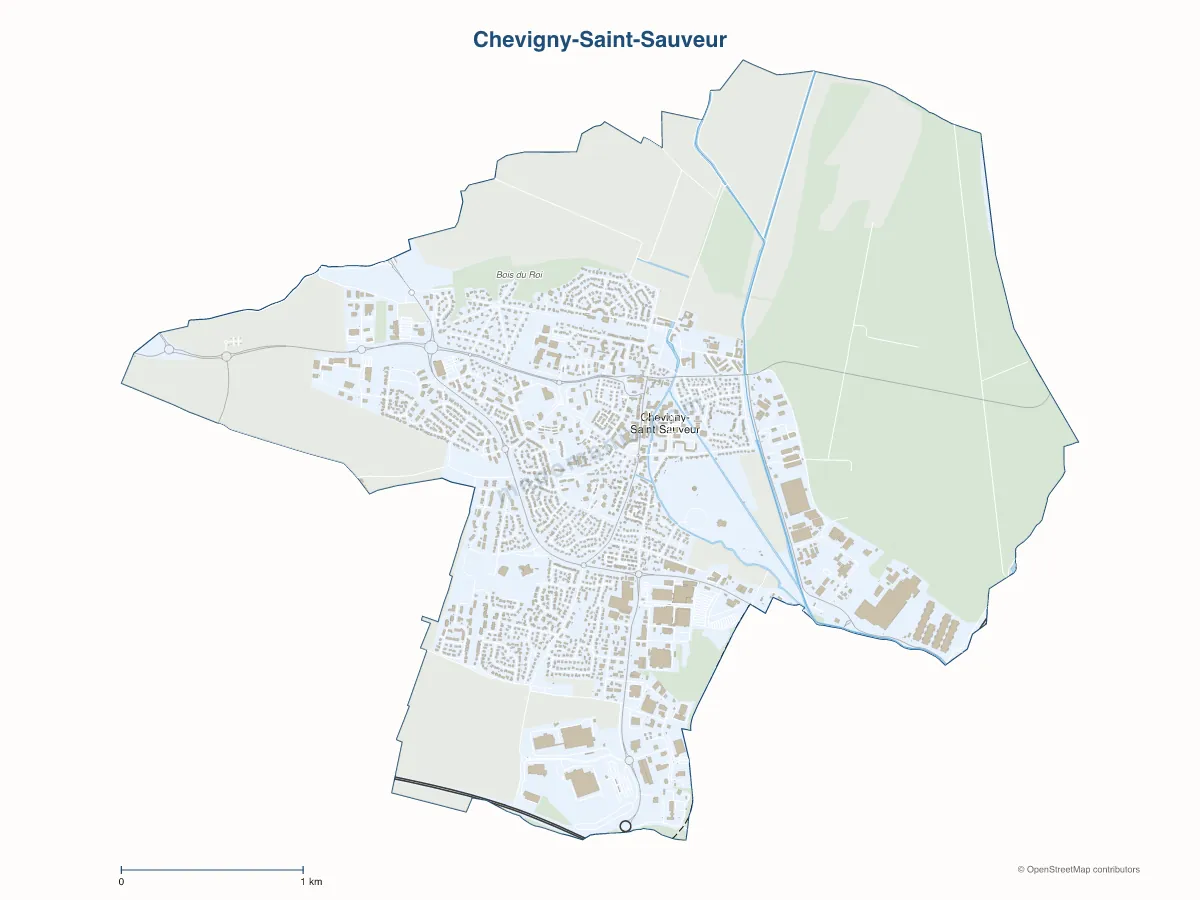 Carte de Chevigny-Saint-Sauveur à personnaliser