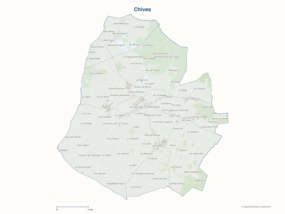 Carte de Chives à personnaliser