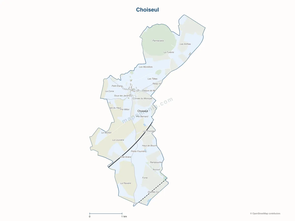 Carte de Choiseul à personnaliser