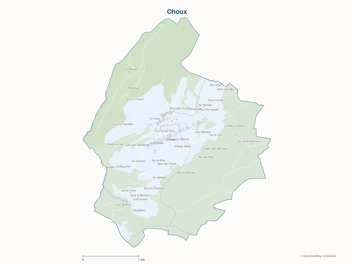 Carte de Choux à personnaliser