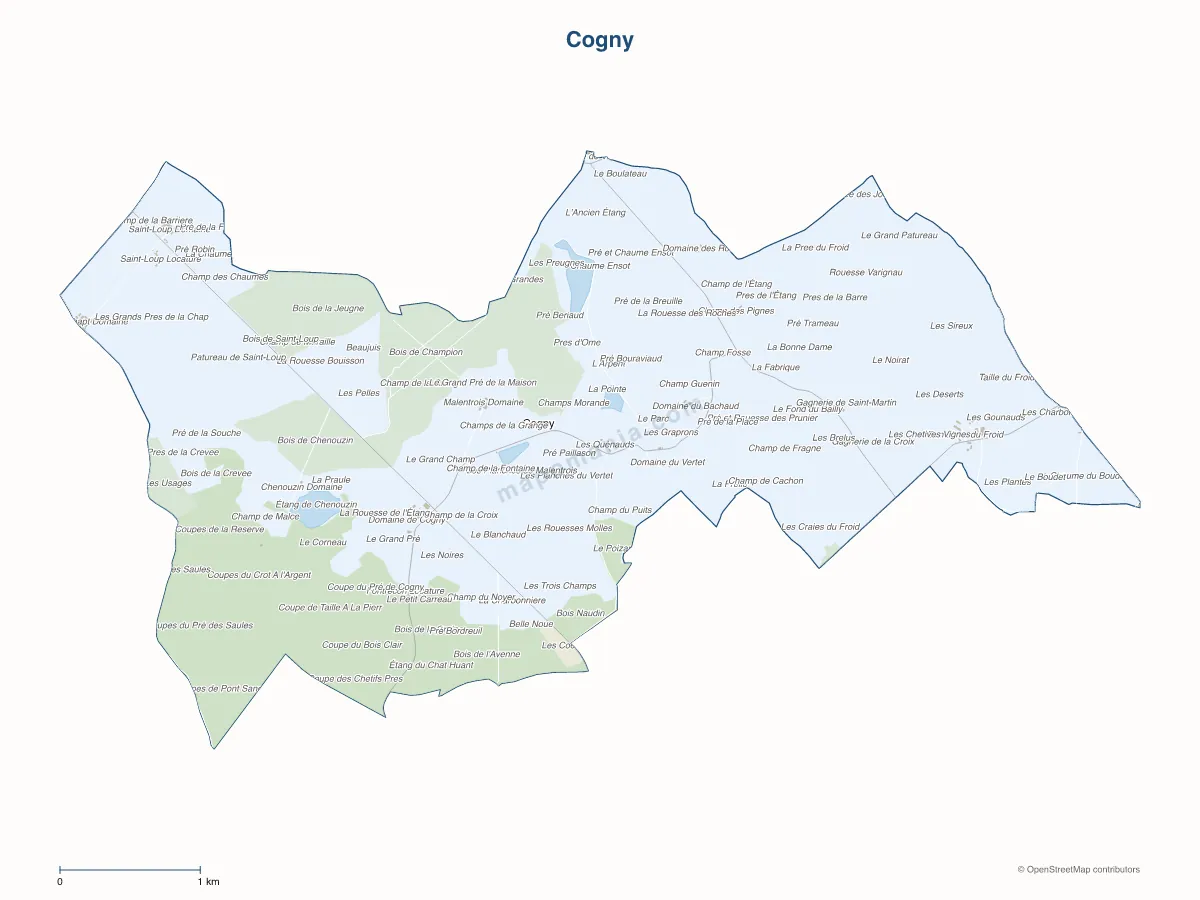 Carte de Cogny à personnaliser