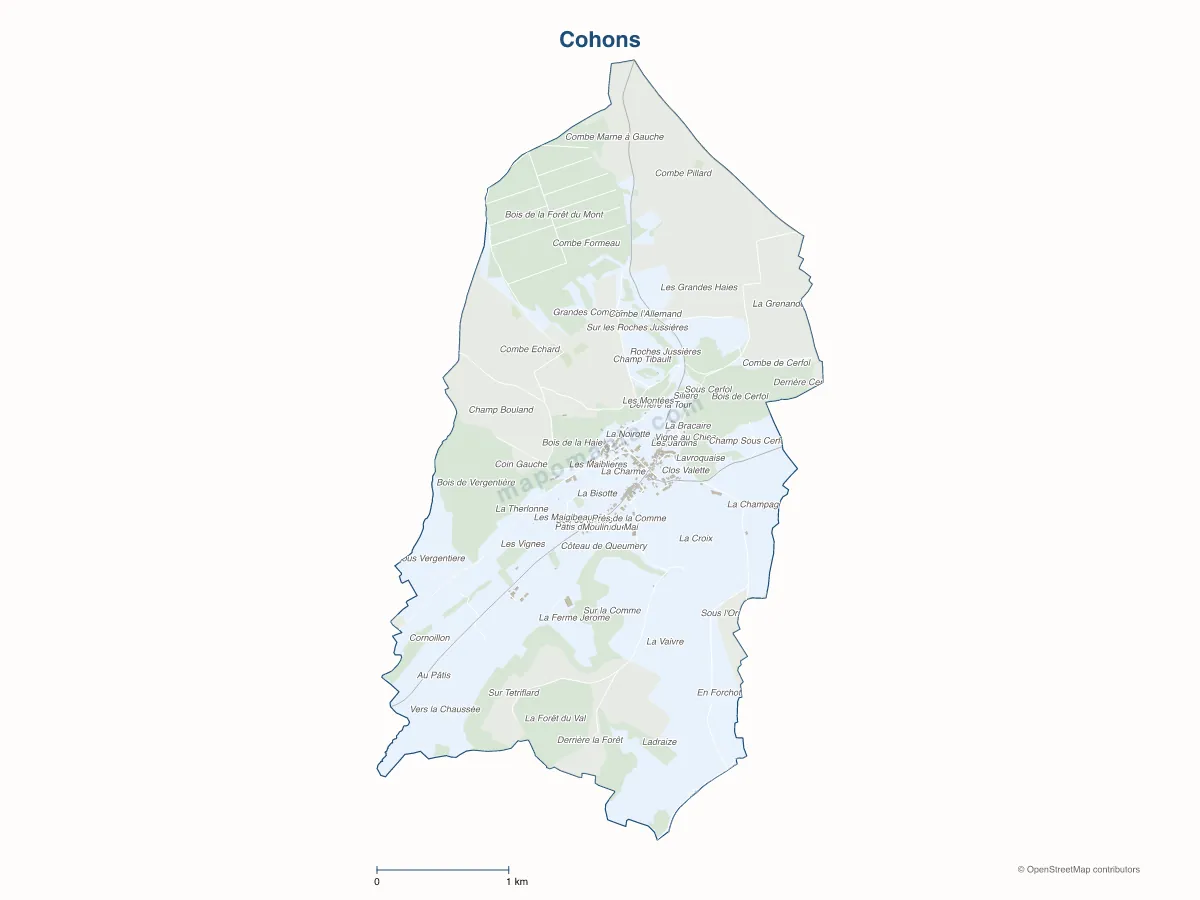 Carte de Cohons à personnaliser