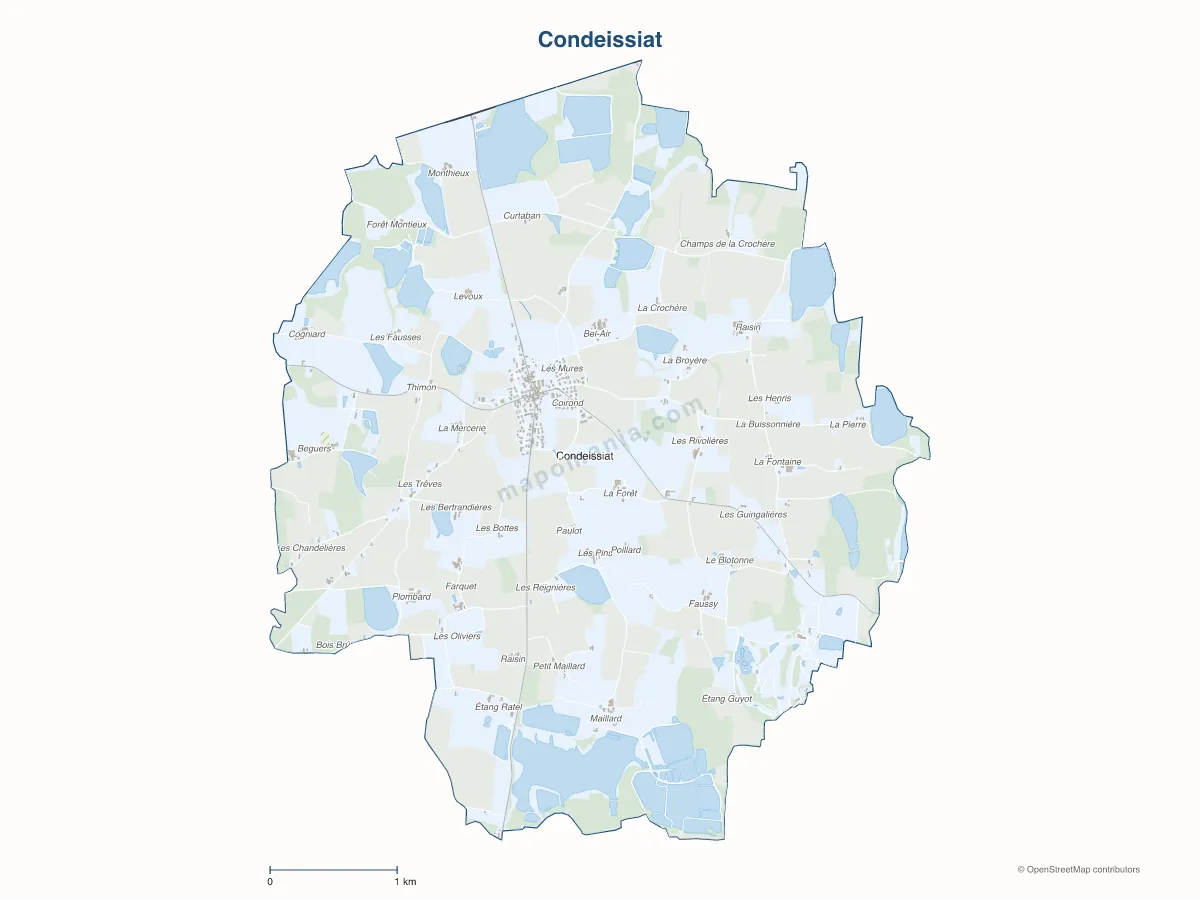 Carte de Condeissiat à personnaliser