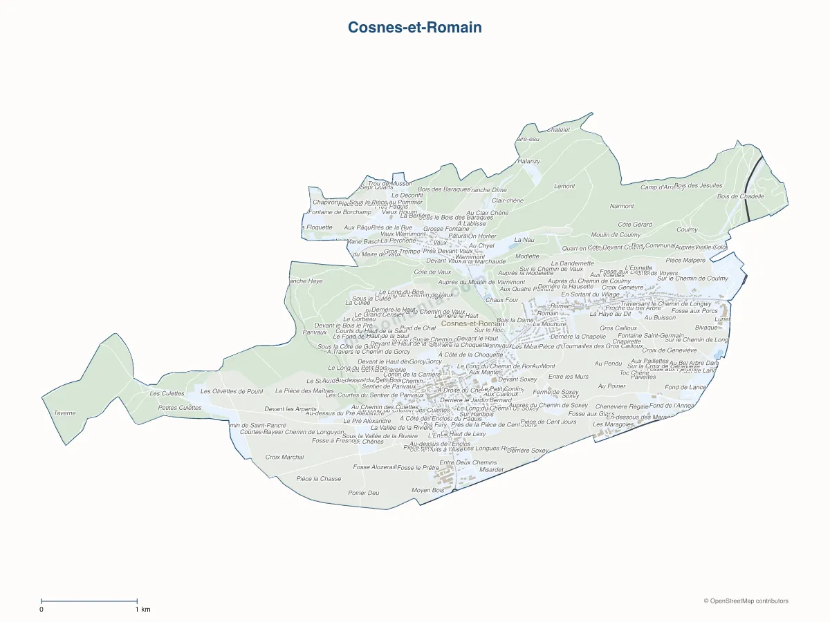 Carte de Cosnes-et-Romain à personnaliser