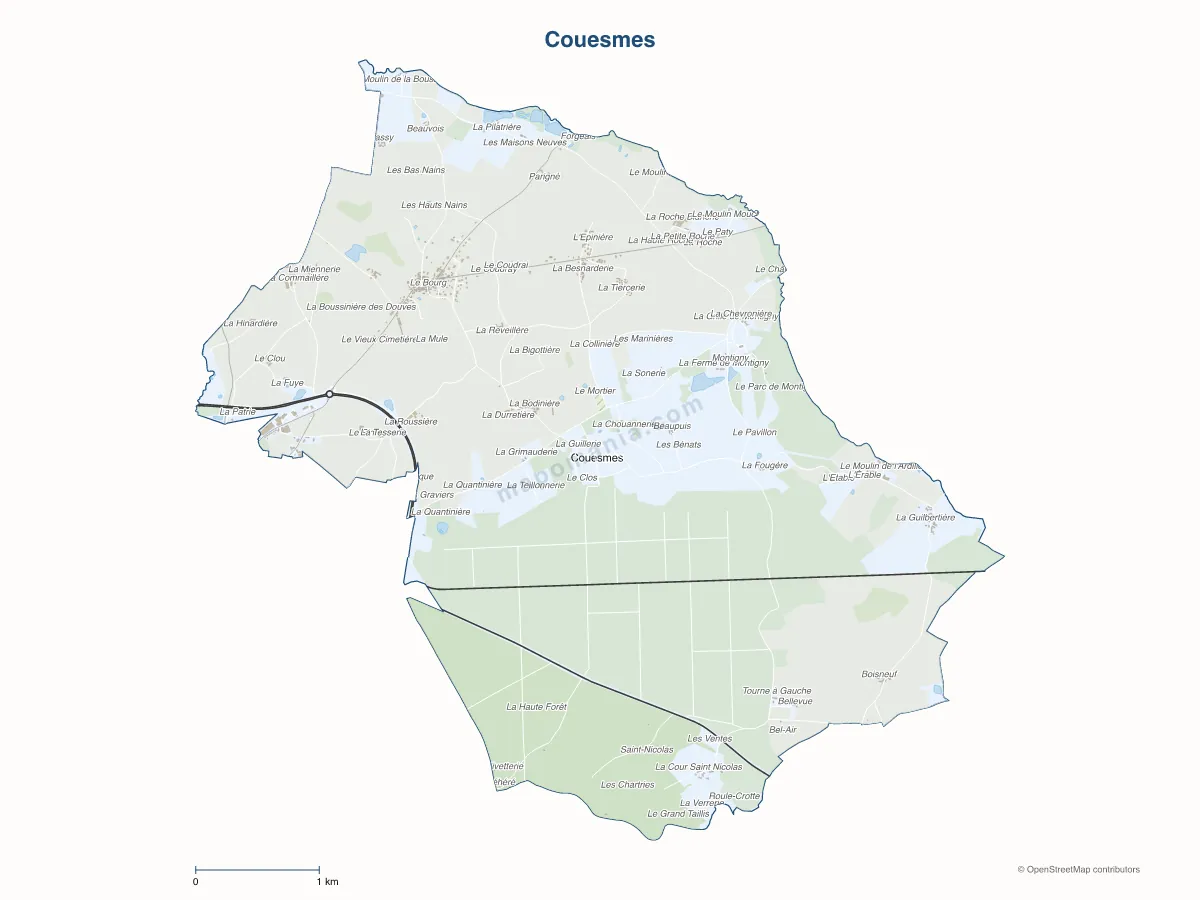 Carte de Couesmes à personnaliser