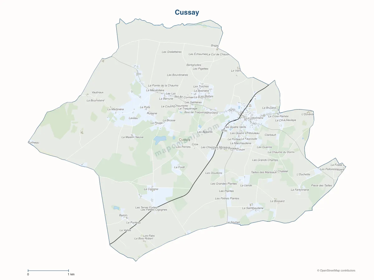 Carte de Cussay à personnaliser
