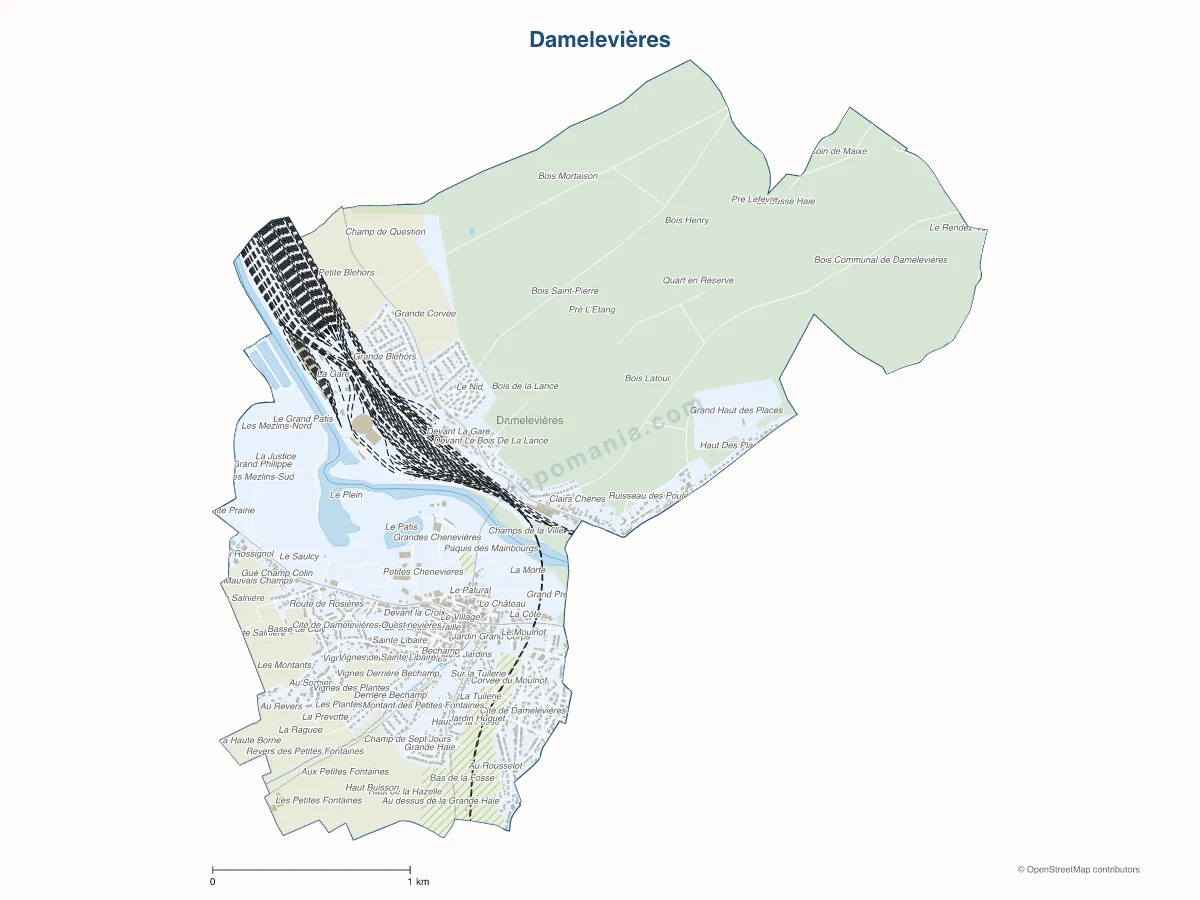 Carte de Damelevières à personnaliser