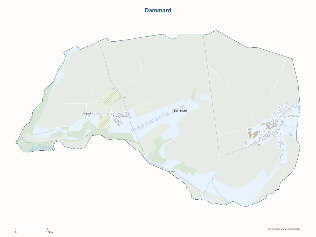 Carte de Dammard à personnaliser