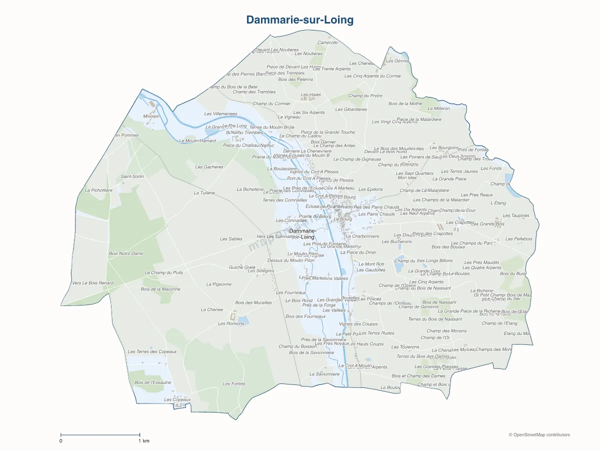 Carte de Dammarie-sur-Loing à personnaliser