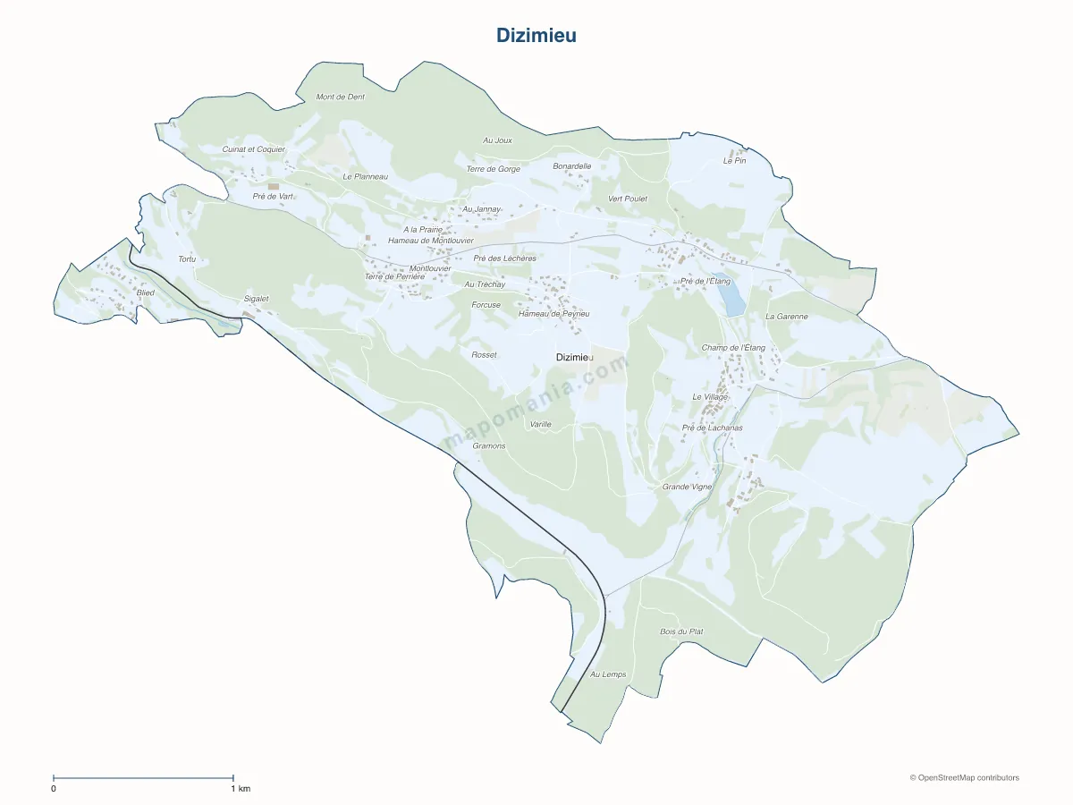 Carte de Dizimieu à personnaliser
