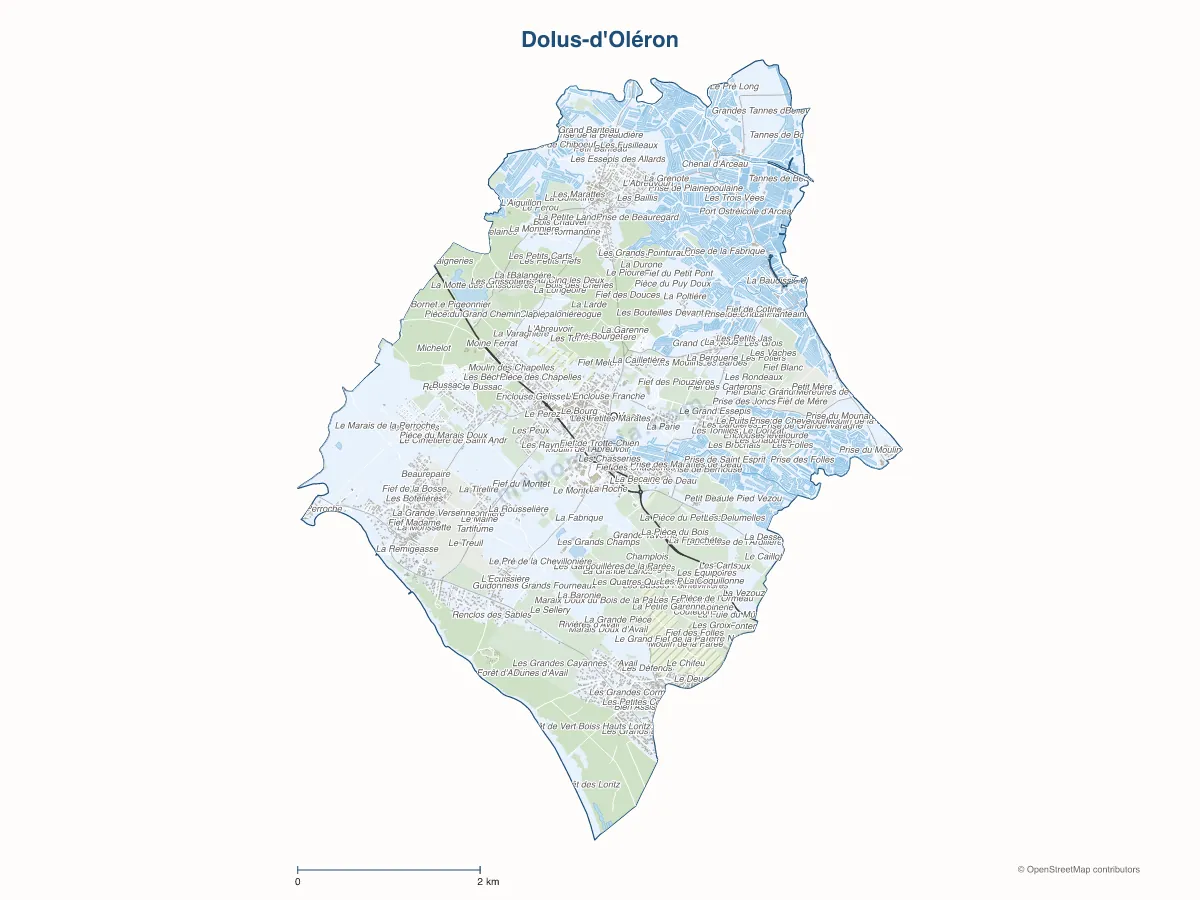 Carte de Dolus-d'Oléron à personnaliser