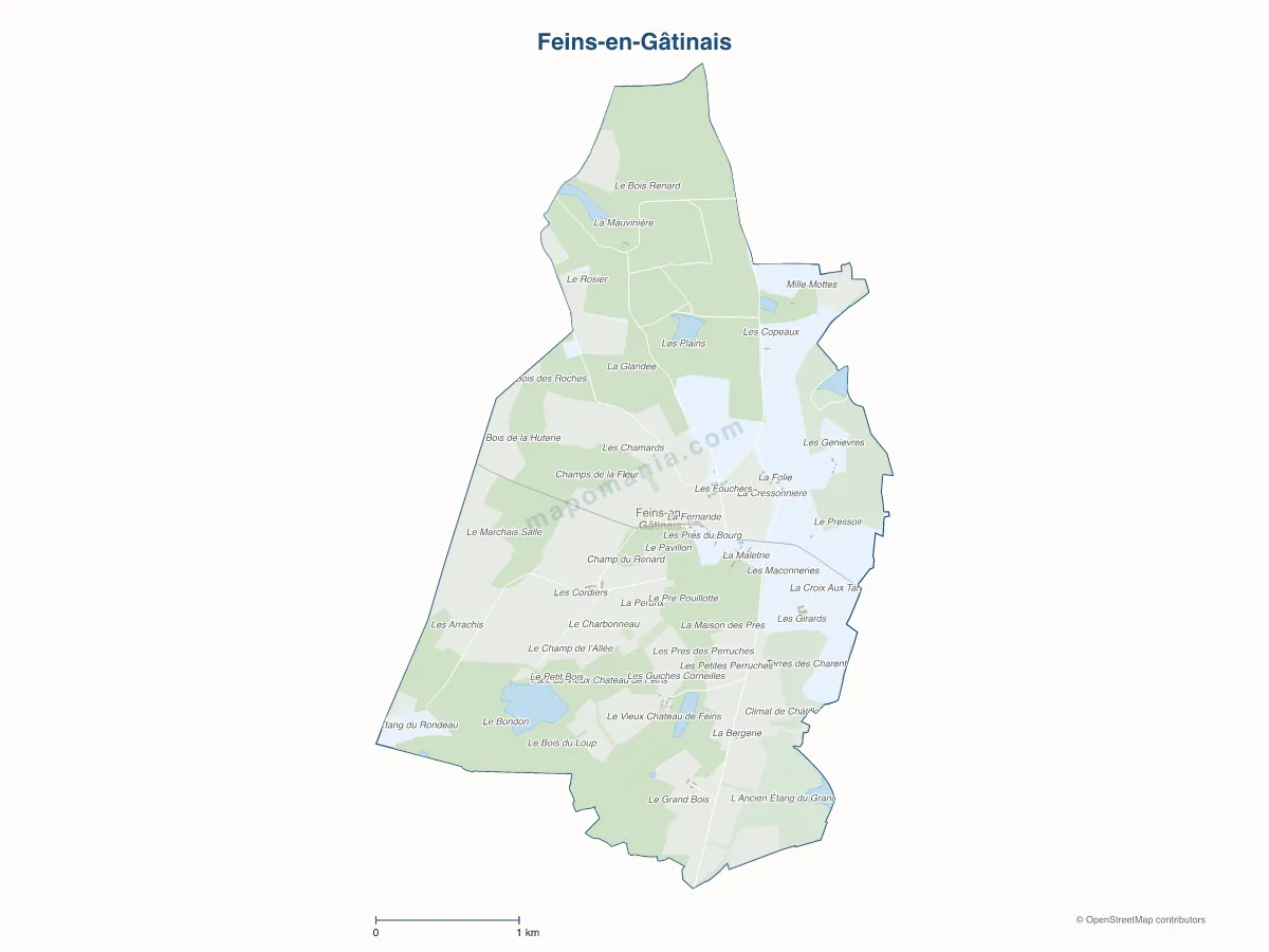 Carte de Feins-en-Gâtinais à personnaliser