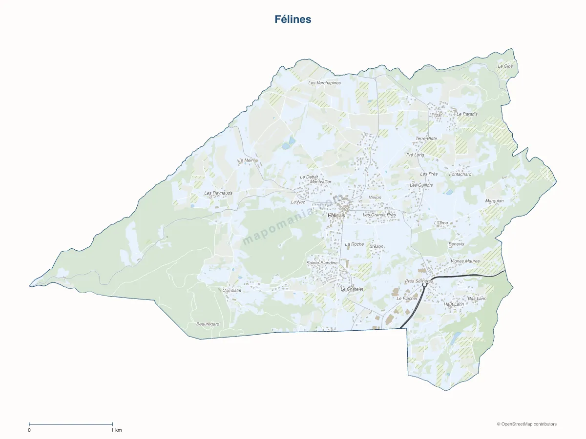 Carte de Félines à personnaliser