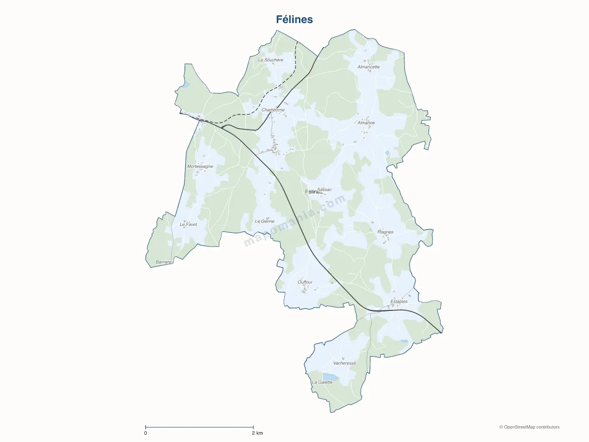 Carte de Félines à personnaliser
