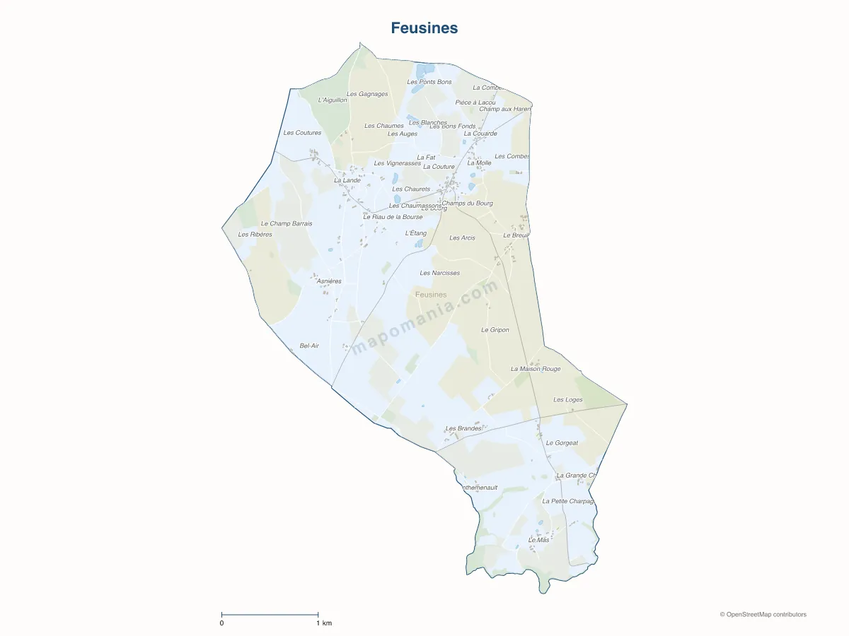 Carte de Feusines à personnaliser