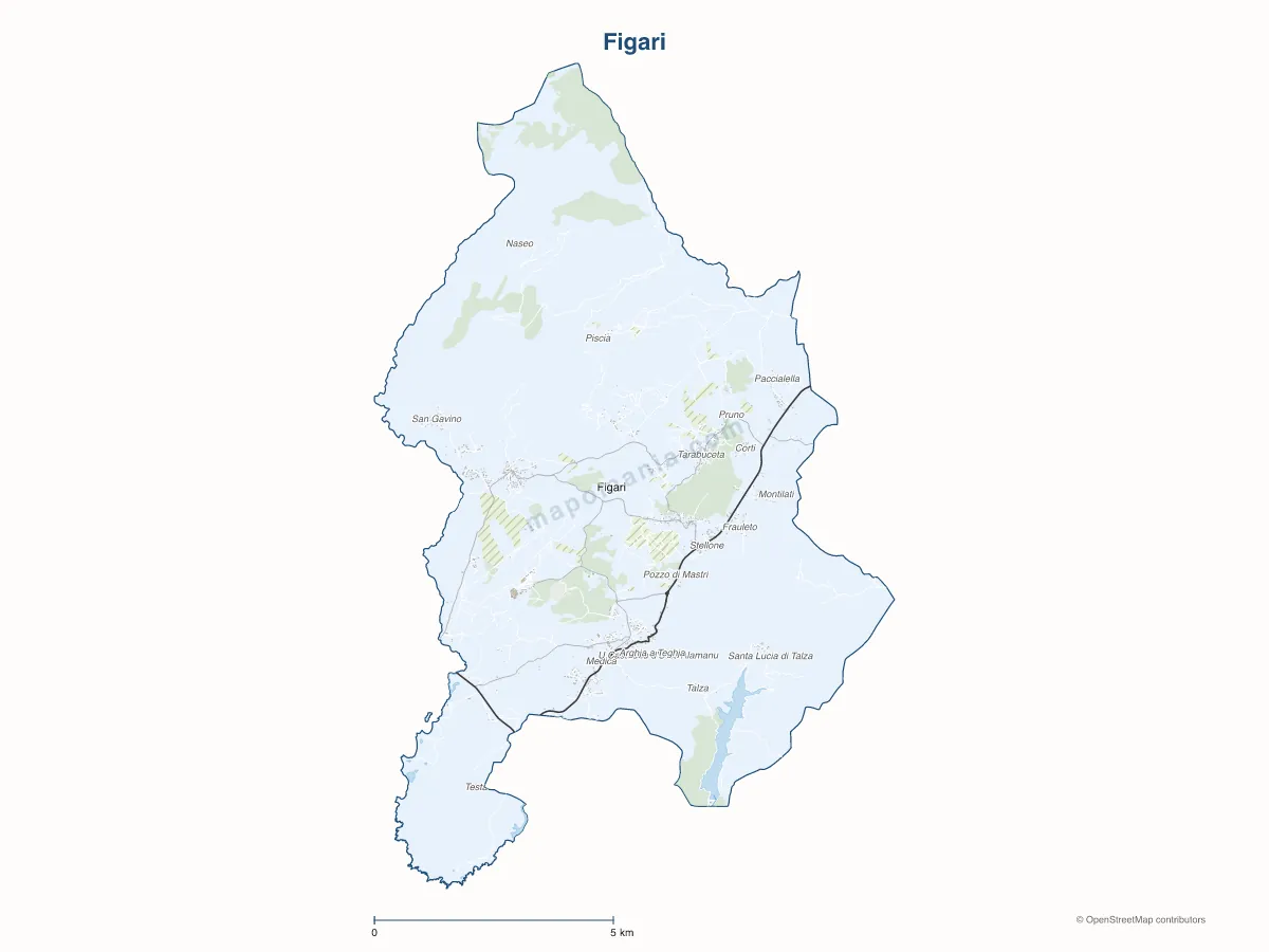 Carte de Figari à personnaliser