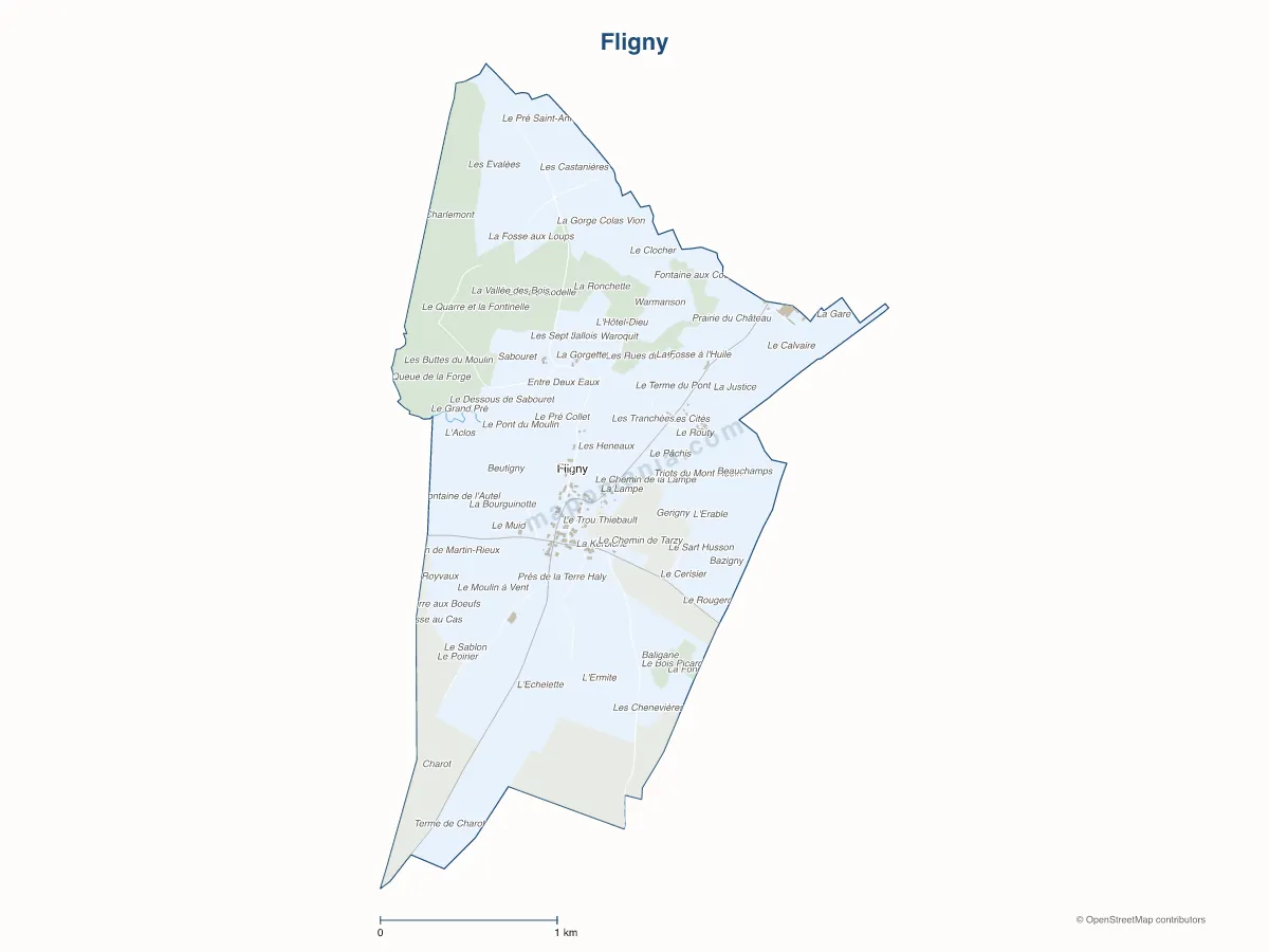 Carte de Fligny à personnaliser