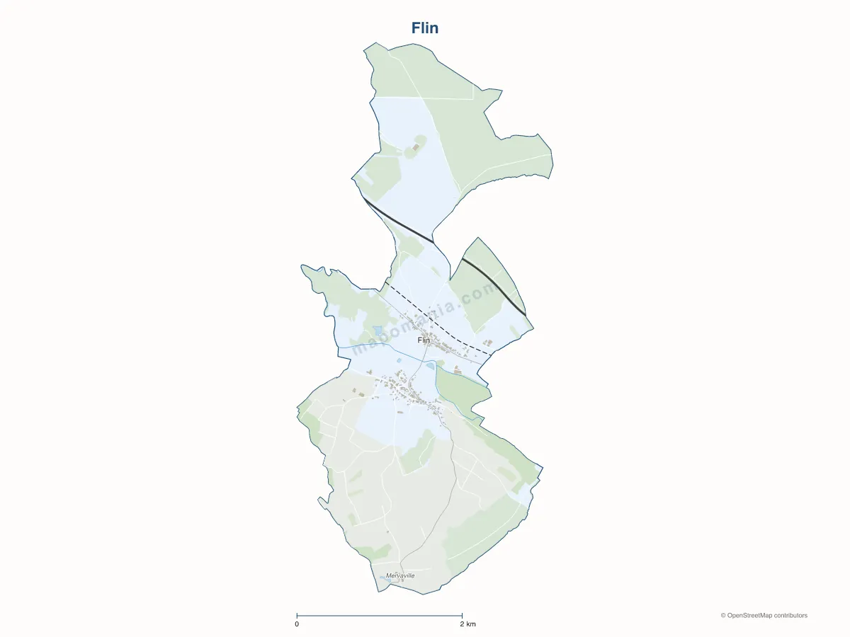 Carte de Flin à personnaliser
