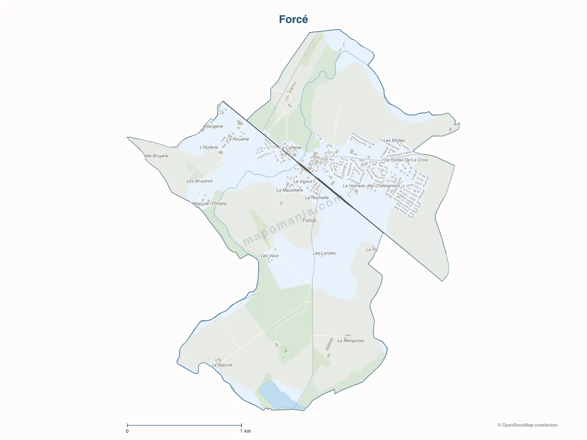 Carte de Forcé à personnaliser