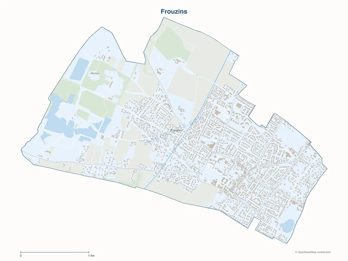 Carte de Frouzins à personnaliser