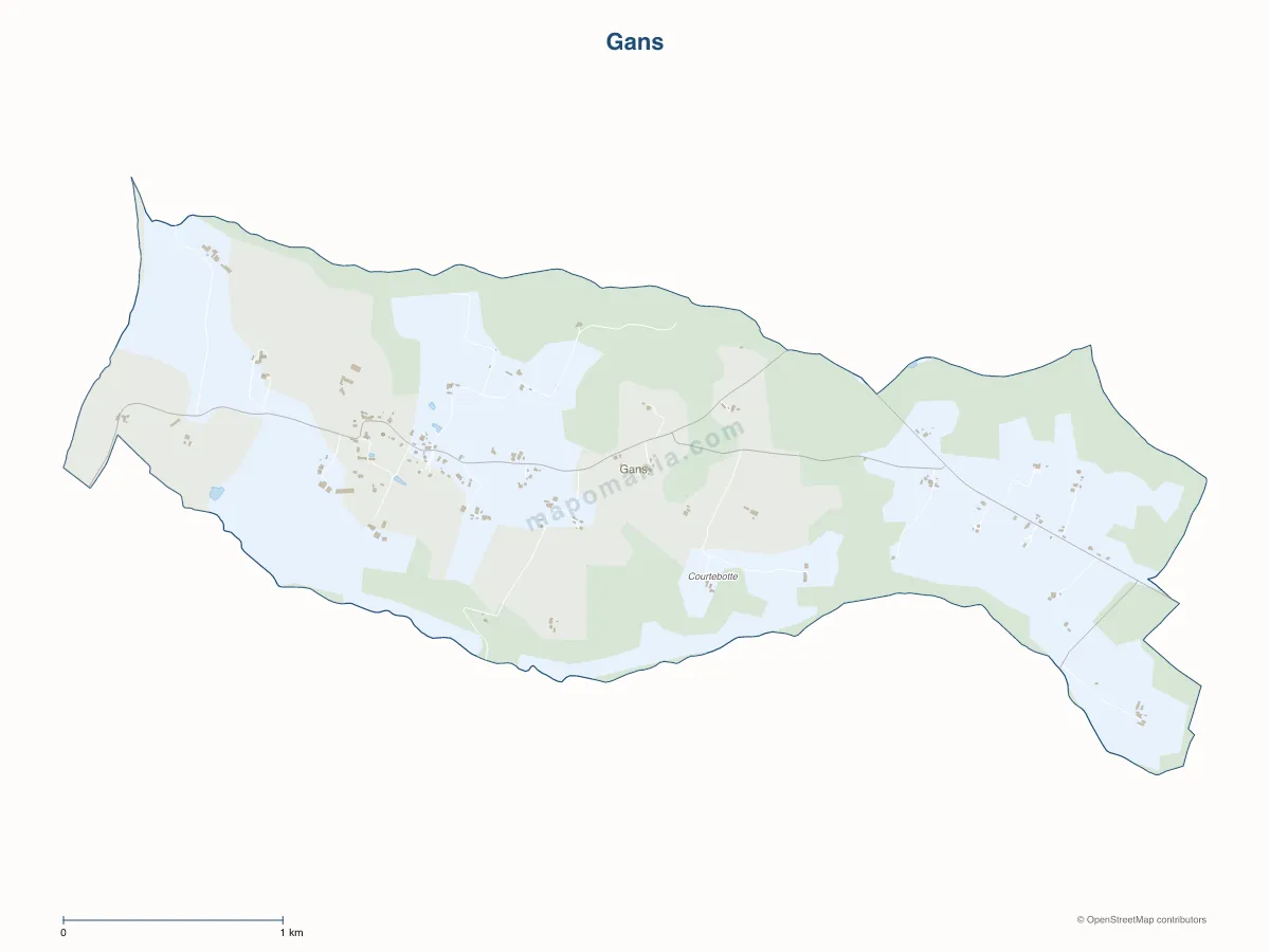 Carte de Gans à personnaliser