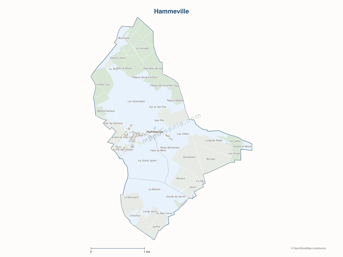 Carte de Hammeville à personnaliser