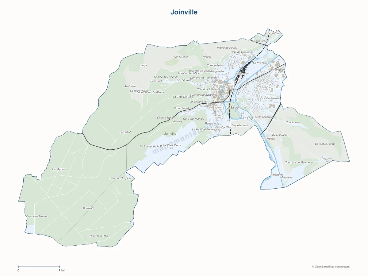 Carte de Joinville à personnaliser