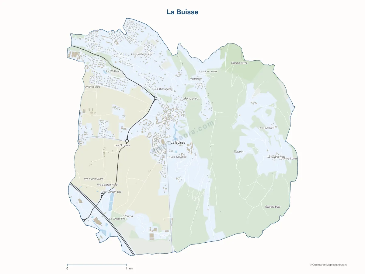 Carte de La Buisse à personnaliser