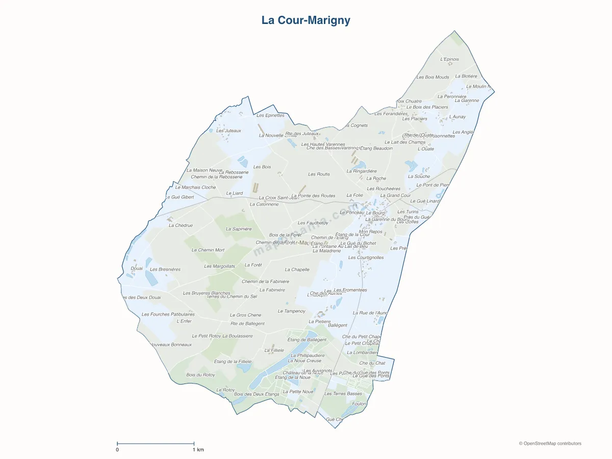 Carte de La Cour-Marigny à personnaliser