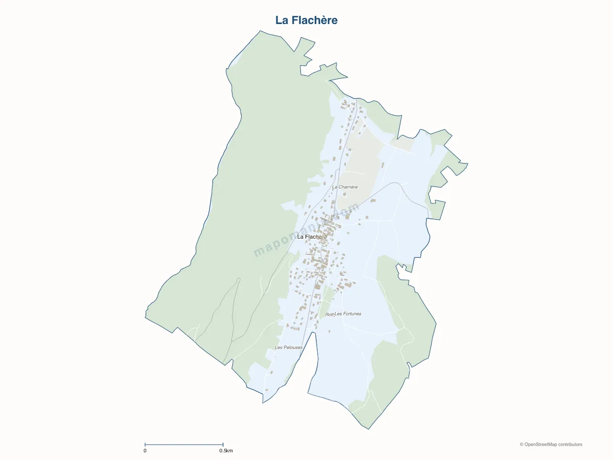 Carte de La Flachère à personnaliser