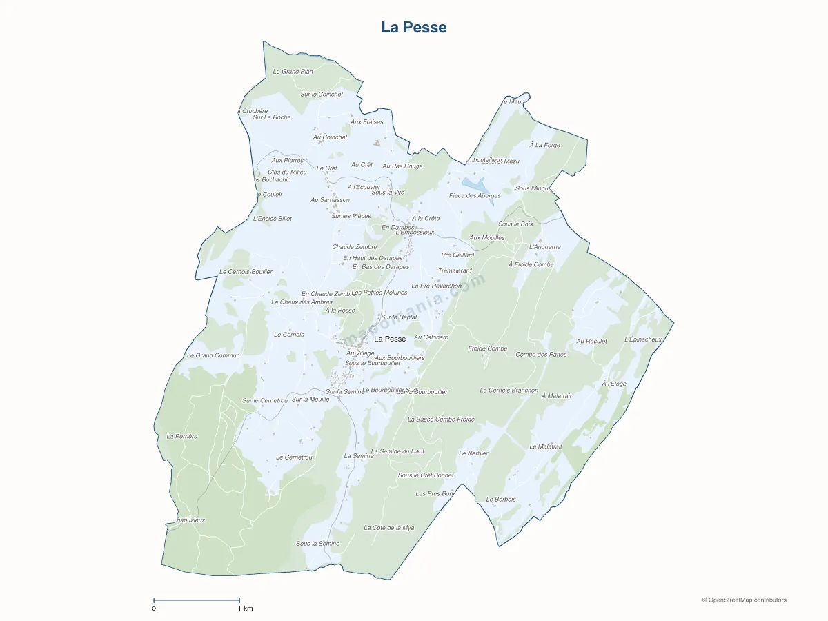 Carte de La Pesse à personnaliser