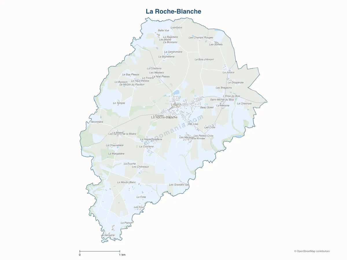 Carte de La Roche-Blanche à personnaliser