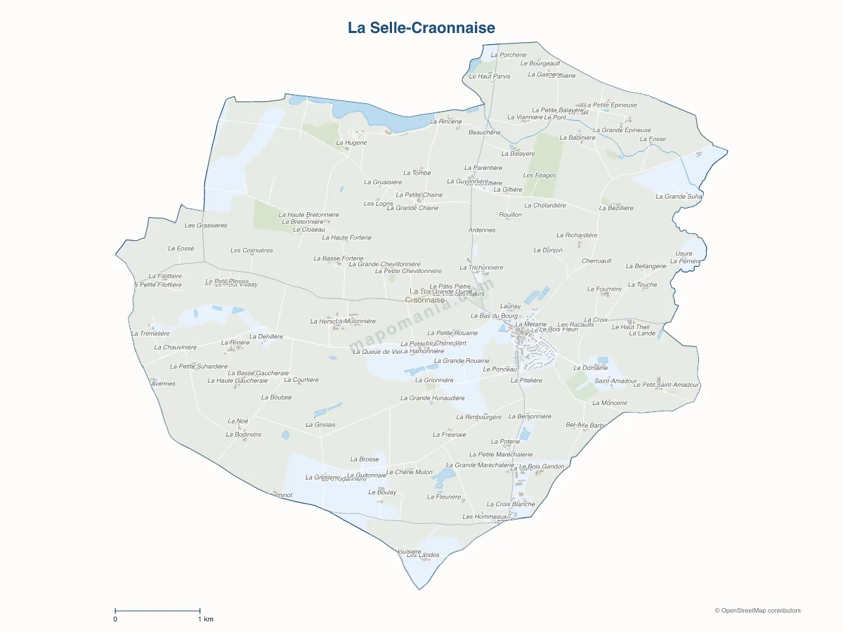 Carte de La Selle-Craonnaise à personnaliser