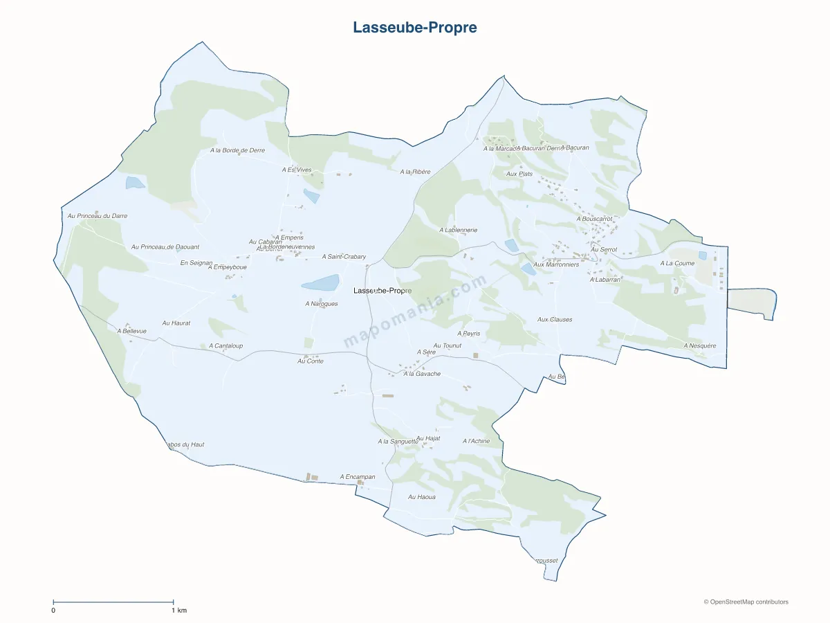 Carte de Lasseube-Propre à personnaliser