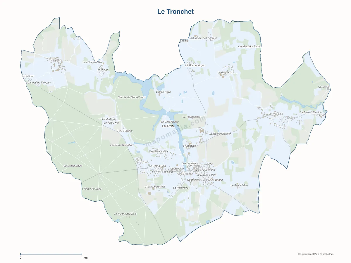 Carte de Le Tronchet à personnaliser