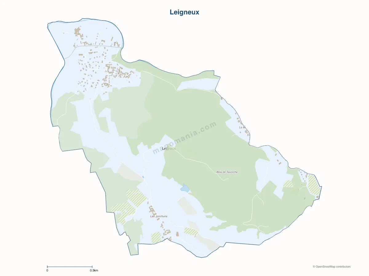 Carte de Leigneux à personnaliser