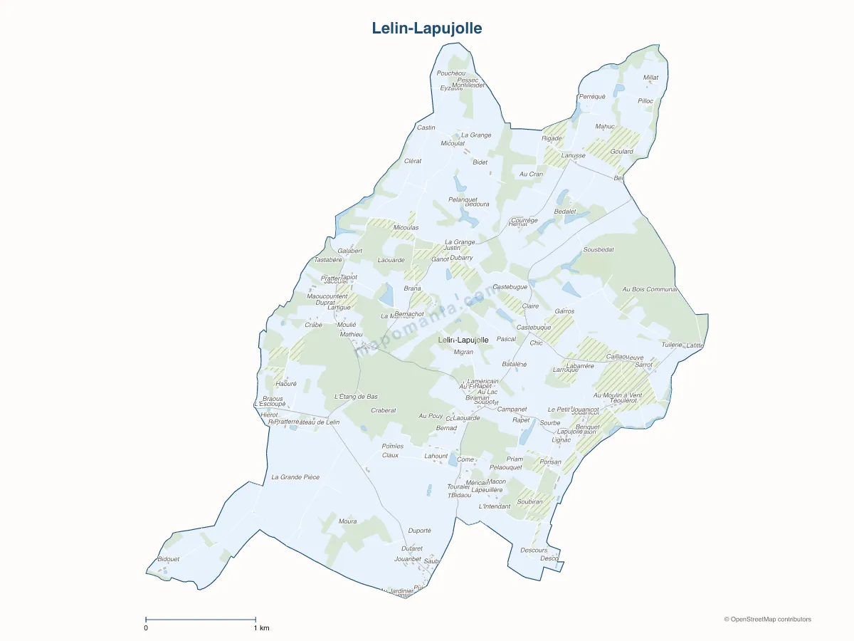 Carte de Lelin-Lapujolle à personnaliser