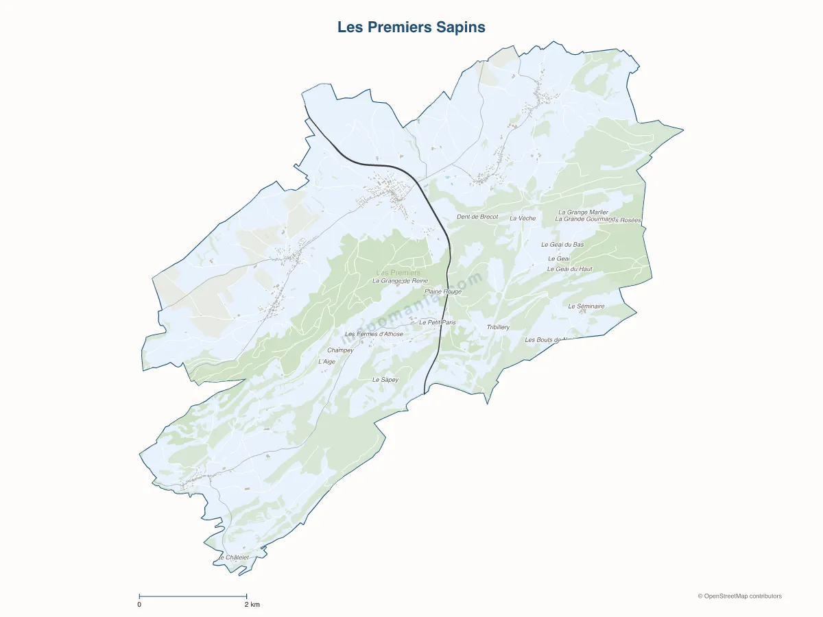 Carte de Les Premiers Sapins à personnaliser