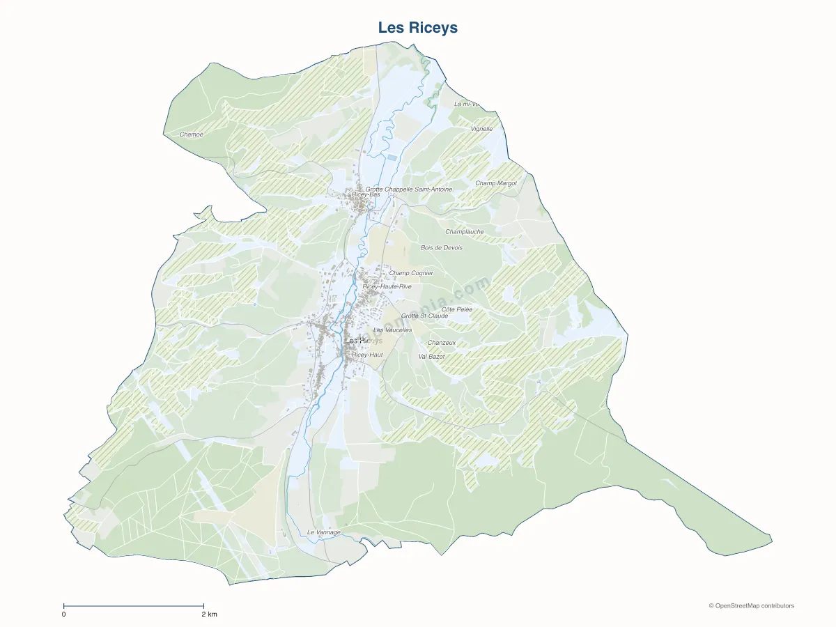 Carte de Les Riceys à personnaliser