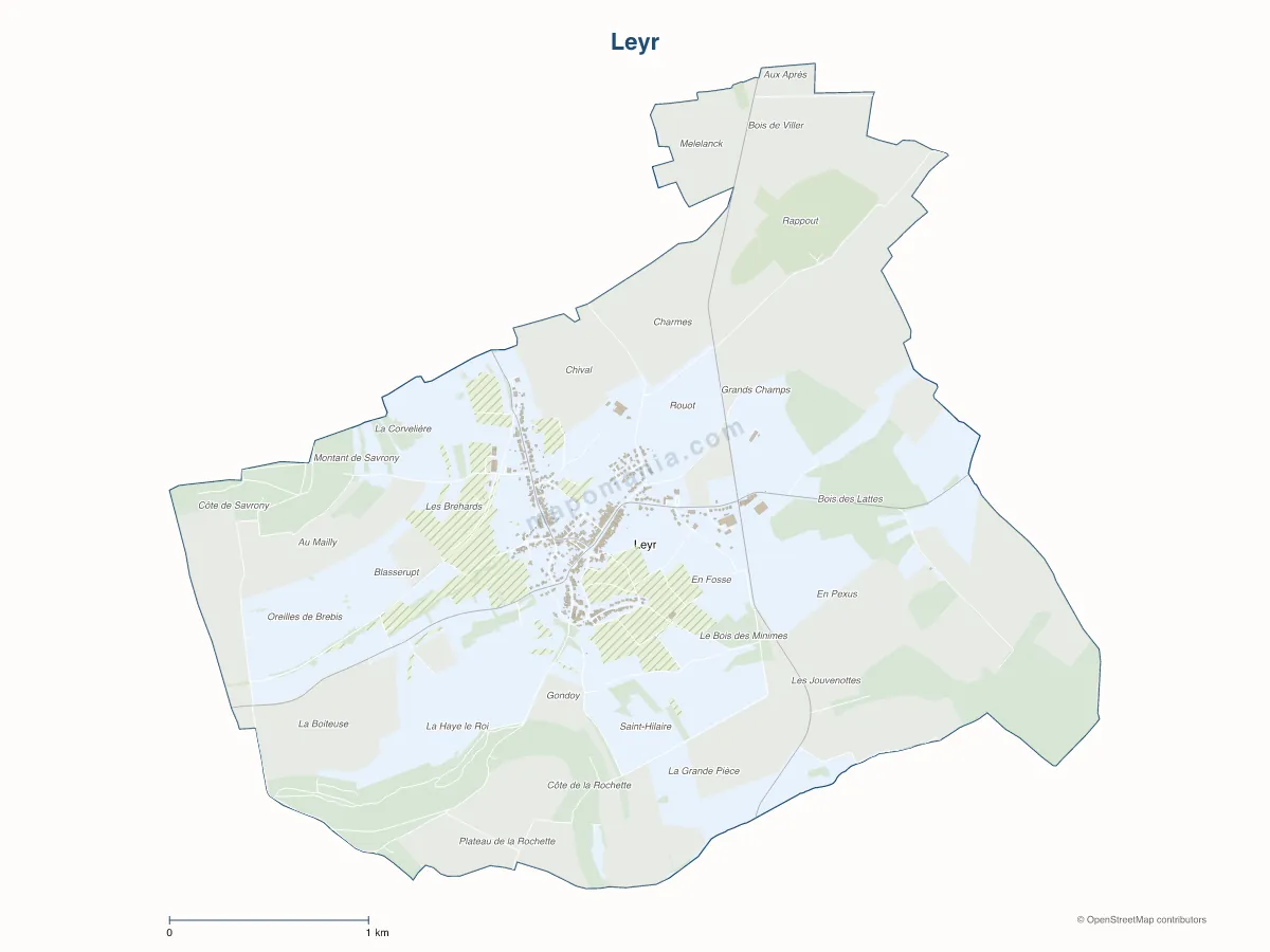 Carte de Leyr à personnaliser