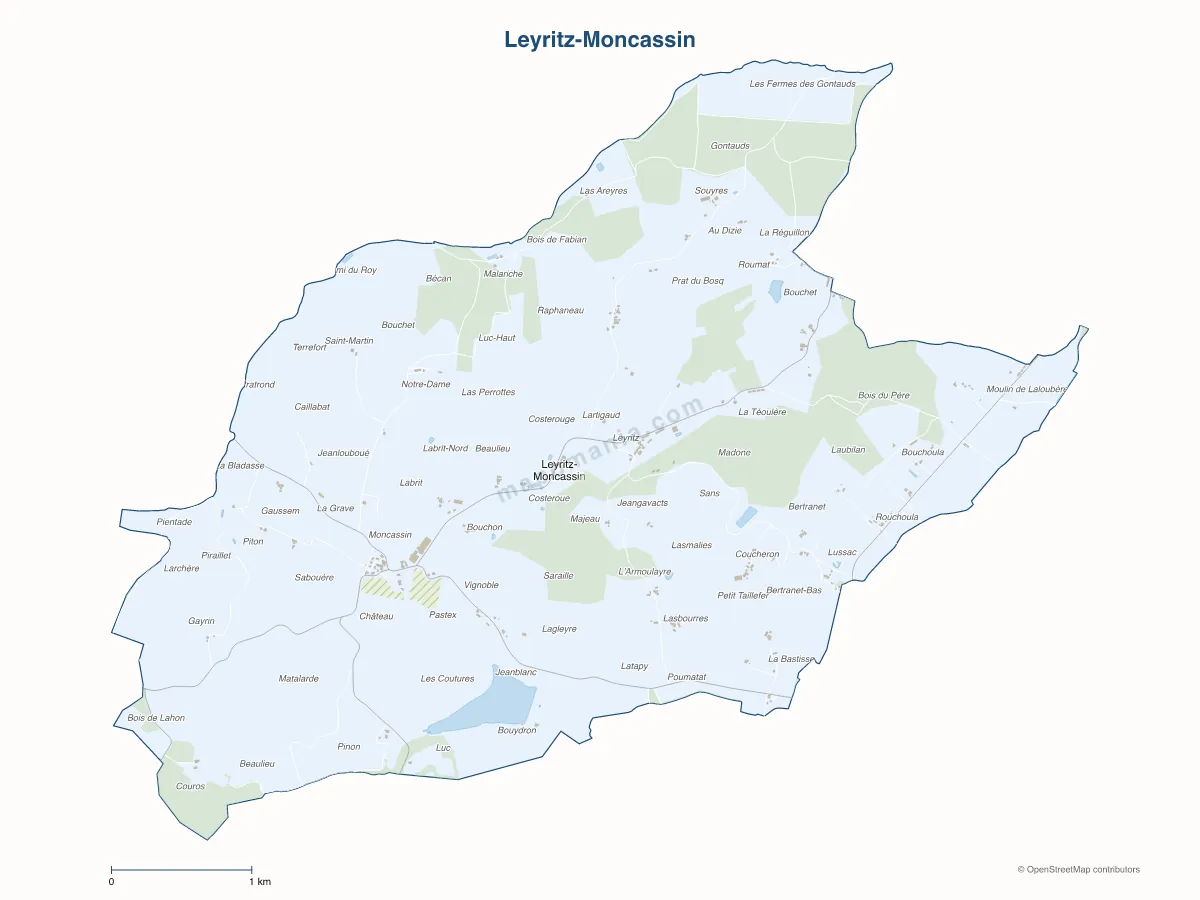 Carte de Leyritz-Moncassin à personnaliser