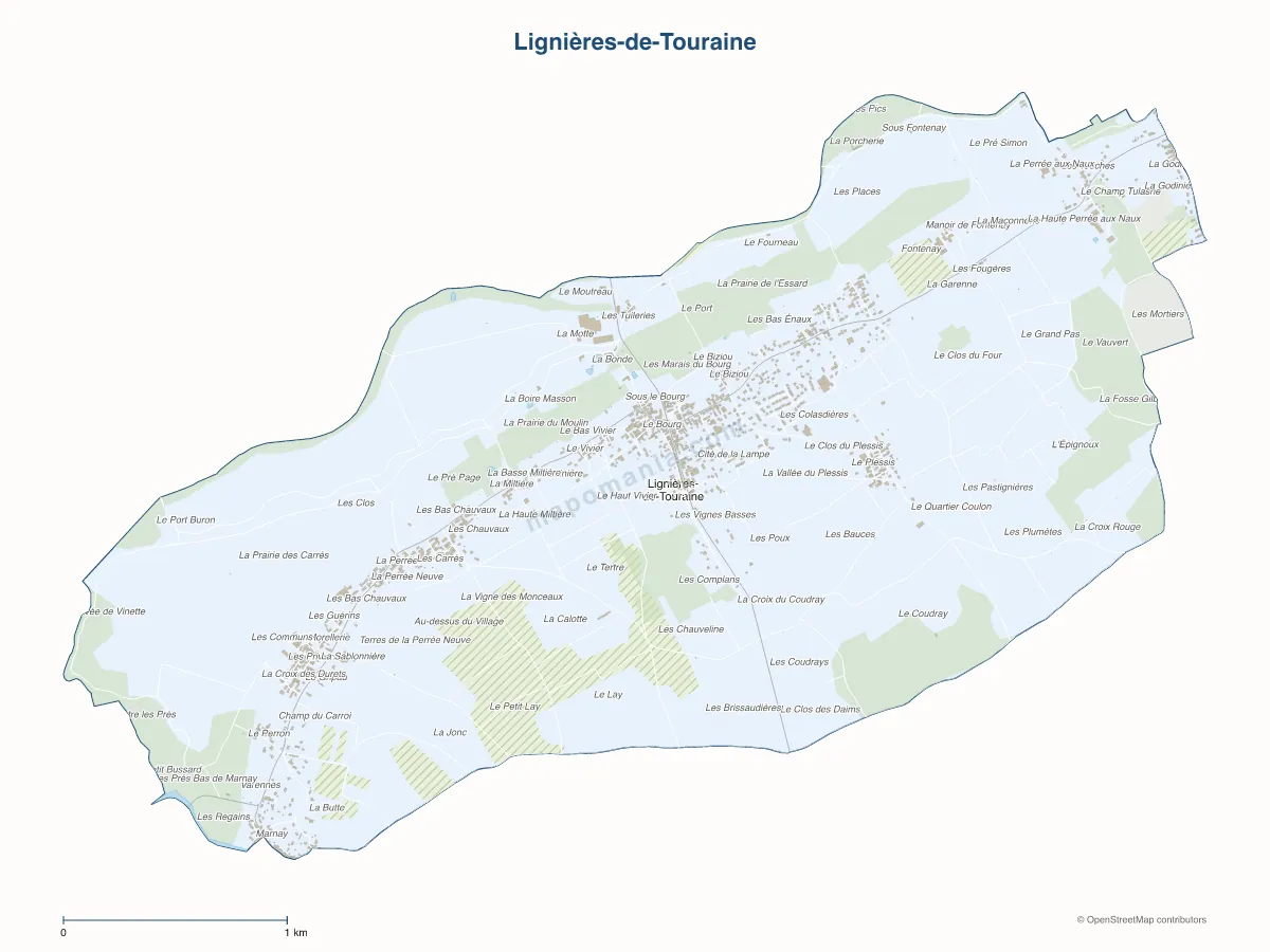 Carte de Lignières-de-Touraine à personnaliser