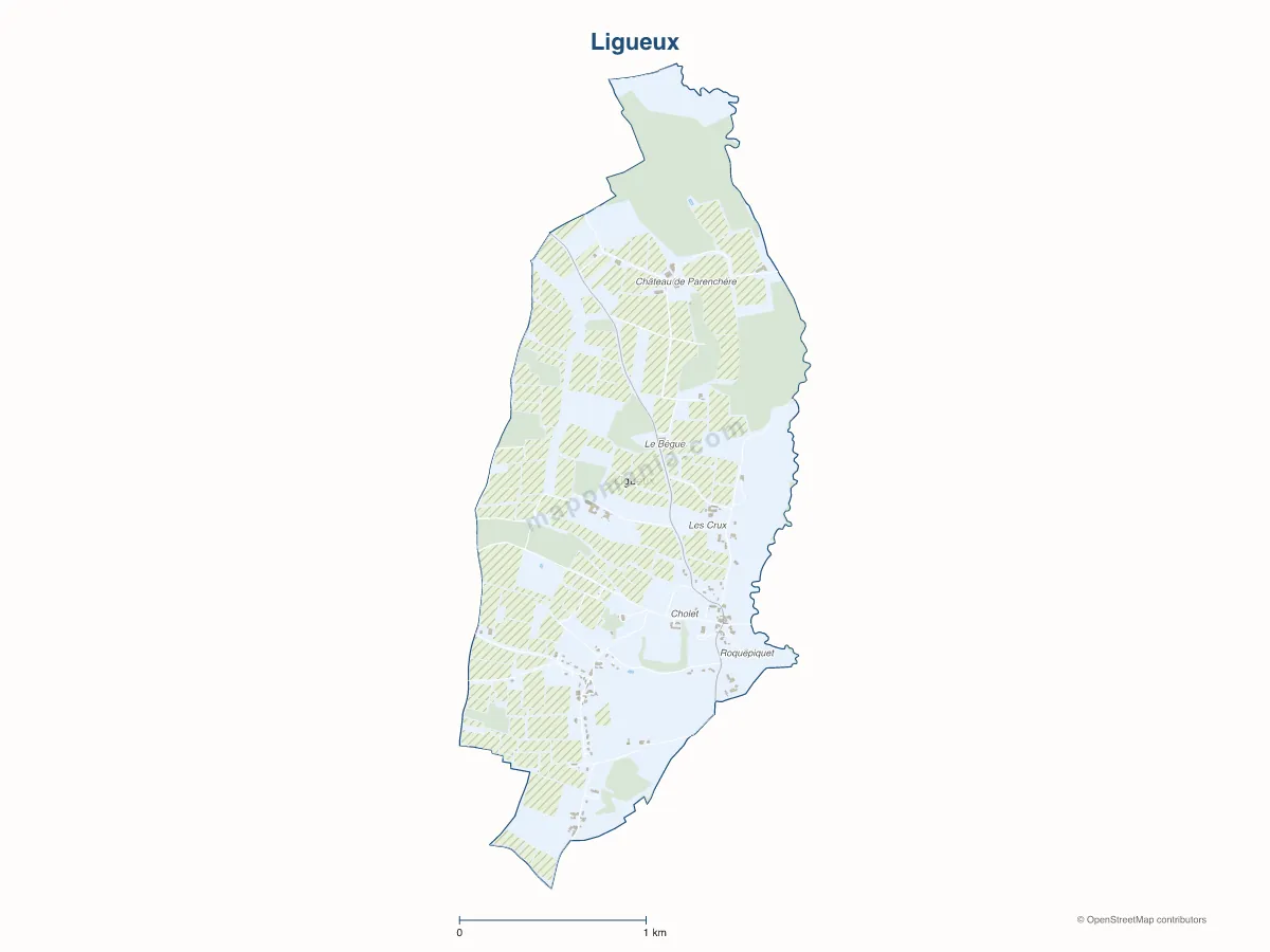 Carte de Ligueux à personnaliser