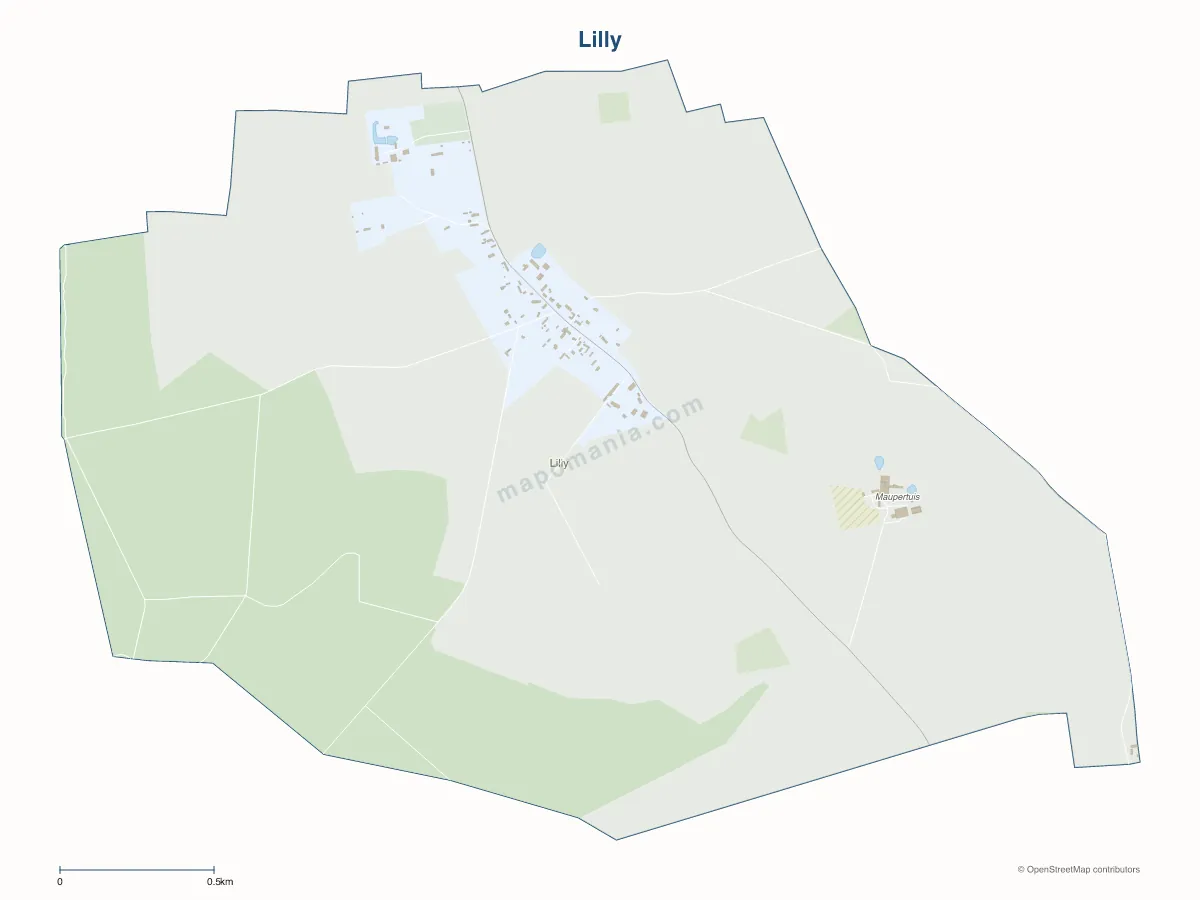 Carte de Lilly à personnaliser