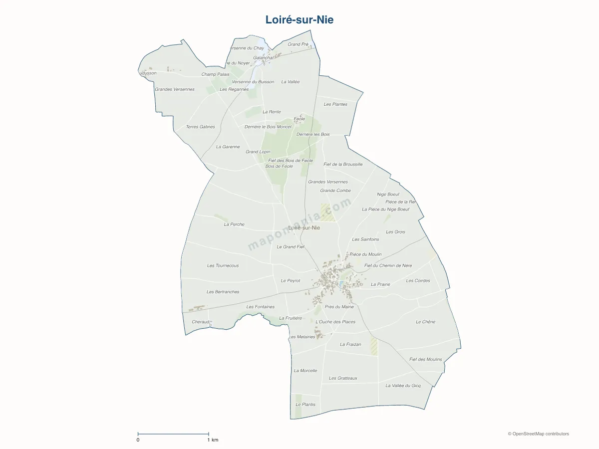 Carte de Loiré-sur-Nie à personnaliser