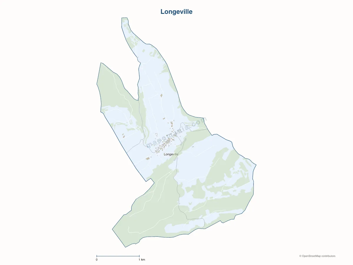 Carte de Longeville à personnaliser