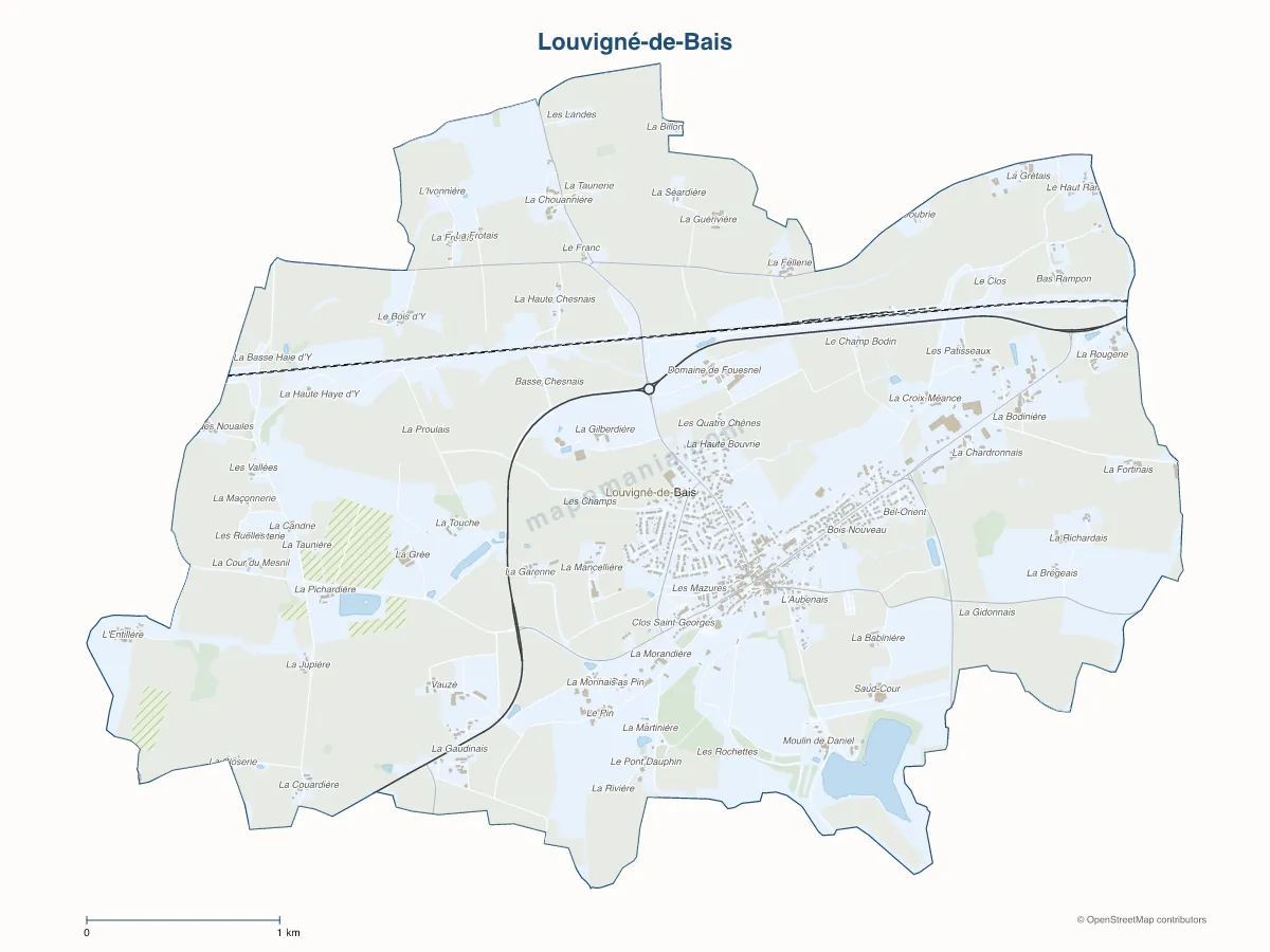Carte de Louvigné-de-Bais à personnaliser