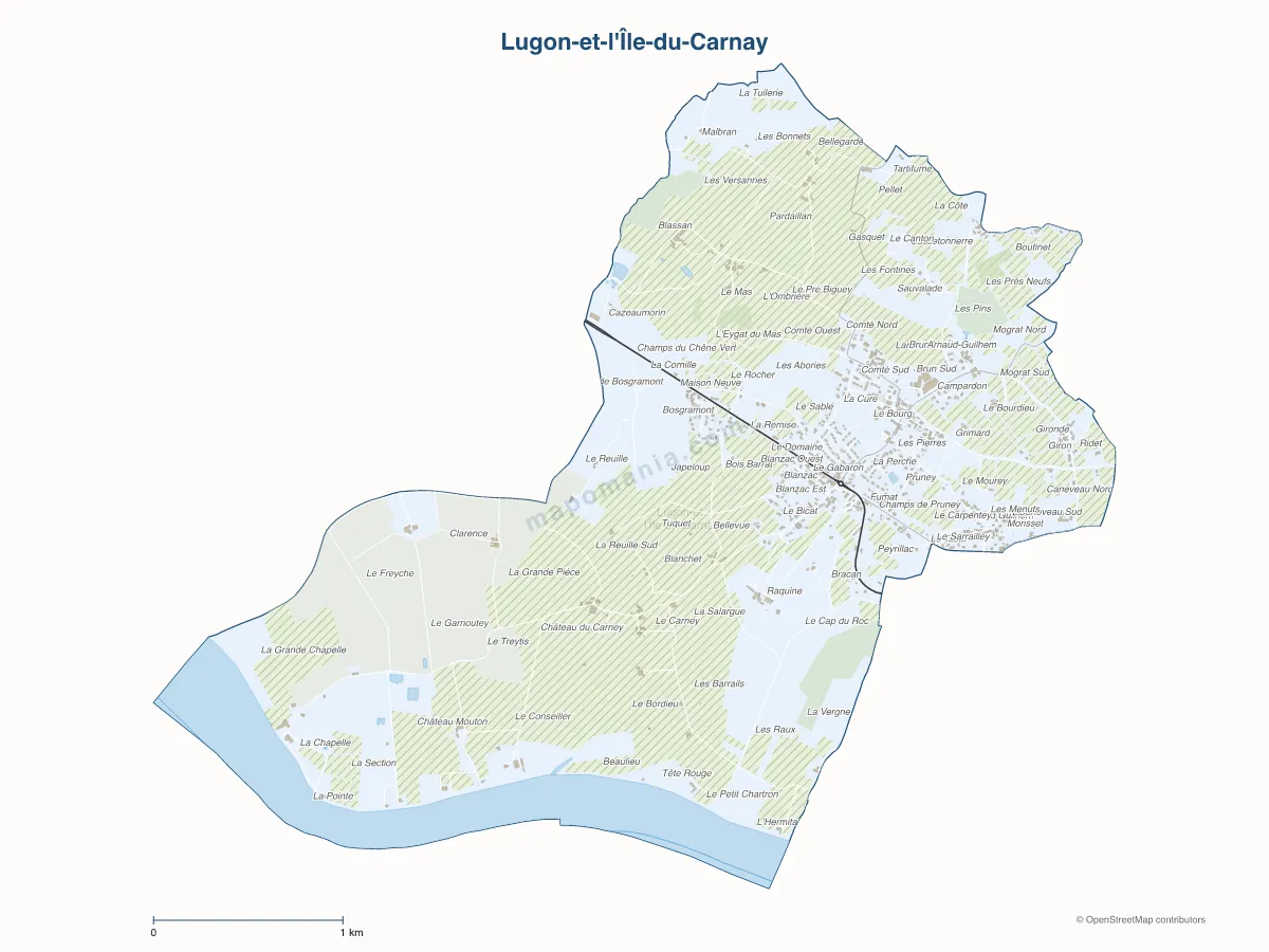 Carte de Lugon-et-l'Île-du-Carnay à personnaliser
