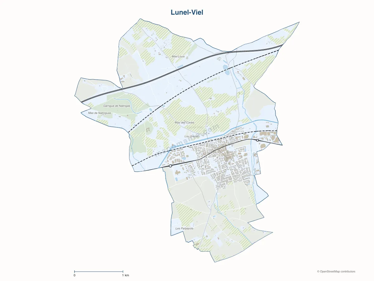 Carte de Lunel-Viel à personnaliser